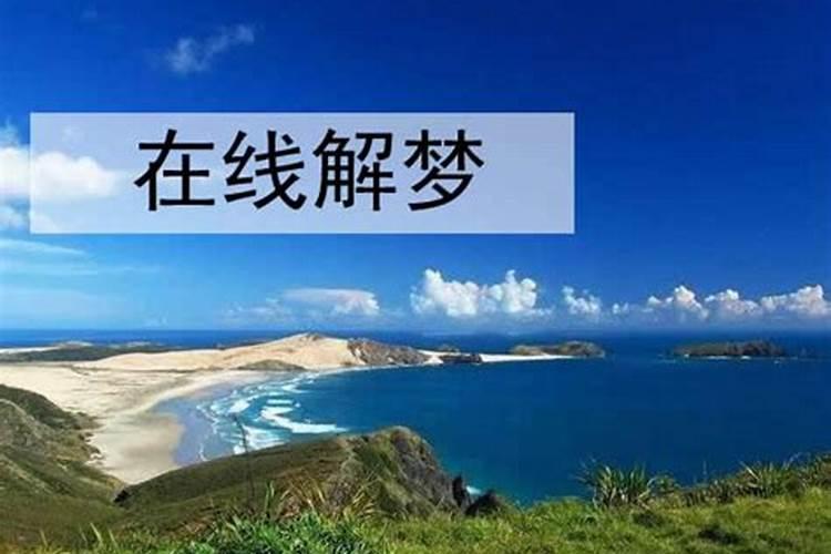 梦见猫在卧室的床底下的预兆