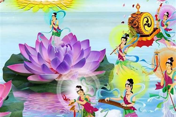 95年属猪的和什么属相最配？