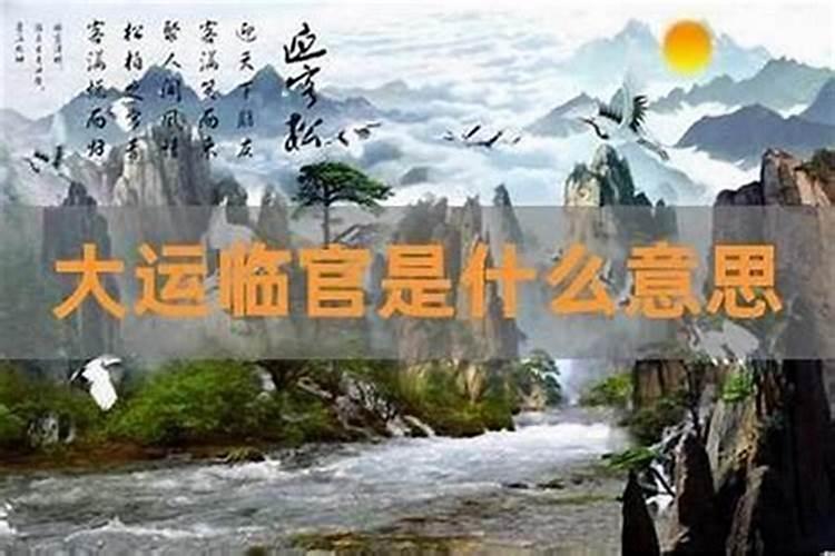 八字排盘的大运是什么意思
