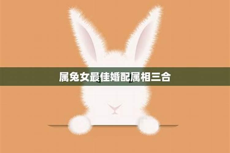 属兔女最佳婚配前十名属相,属兔的女人和什么属相男人最相配？