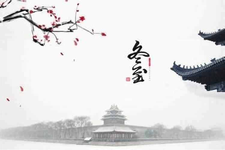 算命说身上有青龙护体,八字带青龙的人