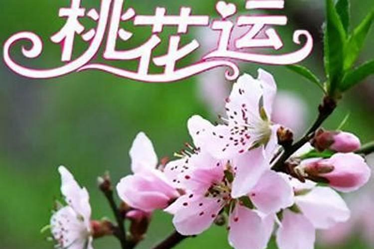 92年属猴人注定的婚姻状况如何 较为美满