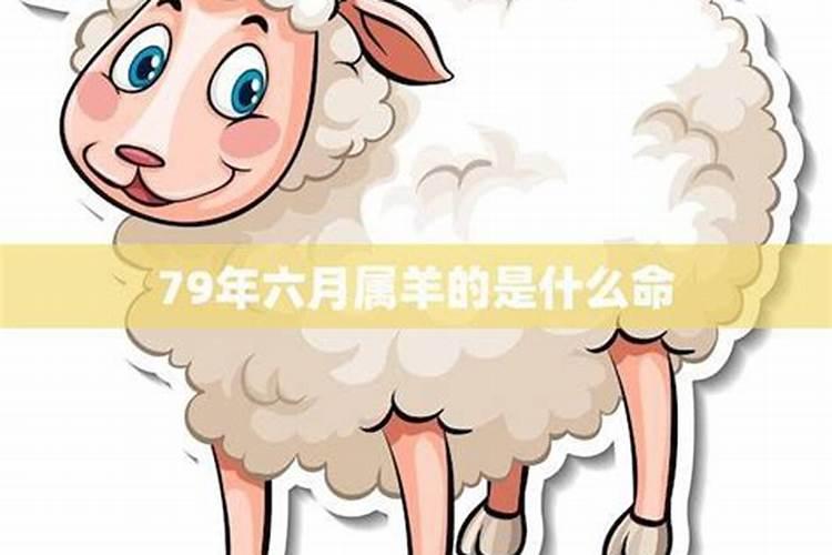 农历1979年6月15日申时生人属羊的运程