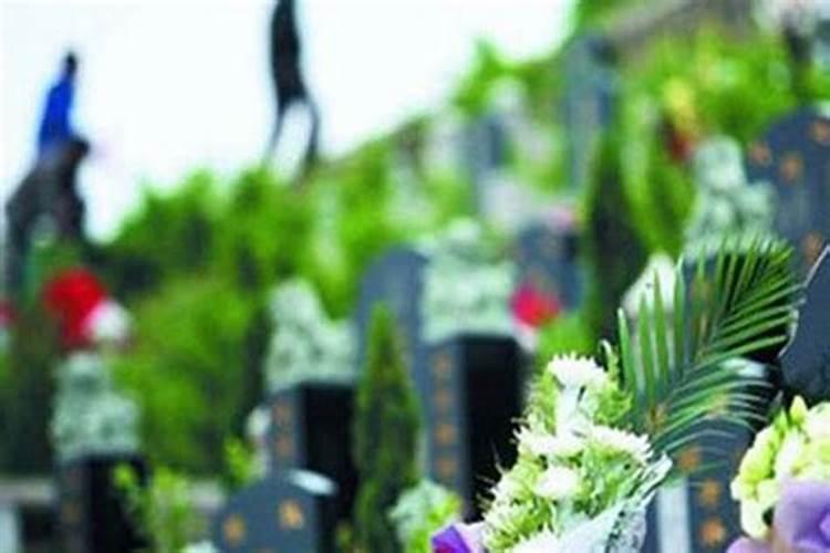 寒衣节去不了坟地可以去公墓烧吗？