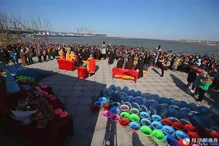 梦见很多蛇在路上不咬人的预兆