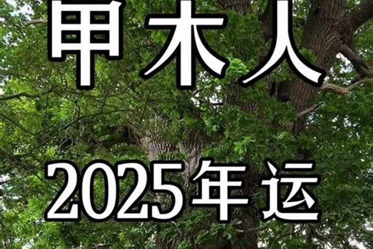 2025年五行什么最旺