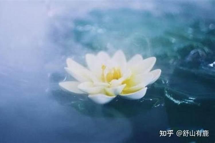这几年做什么都不顺,老天像在和我作对,而且不顺还在继续