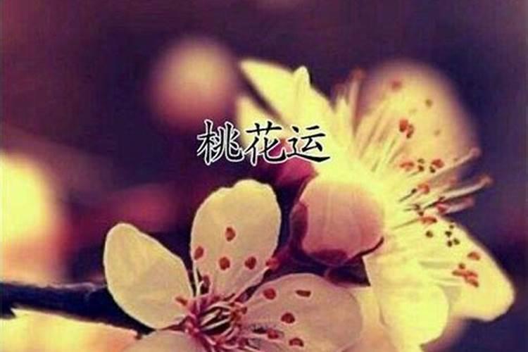 斩断老公烂桃花最灵的方法