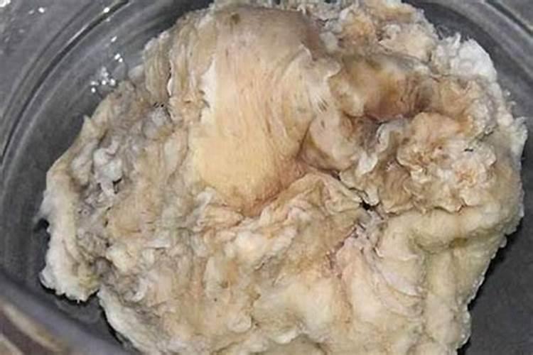 太岁的功效和作用有哪些