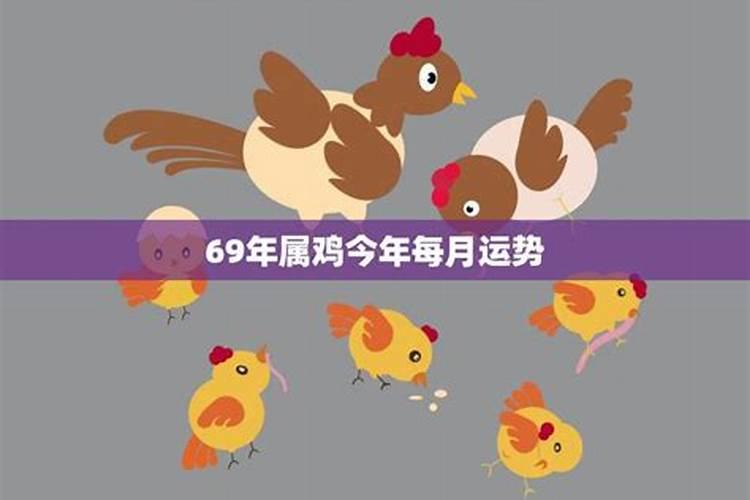 69年鸡男2024年运势和每月运程