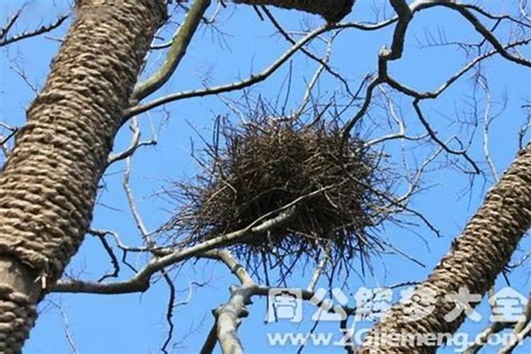如何通过生辰八字推算一个人的五行属相？
