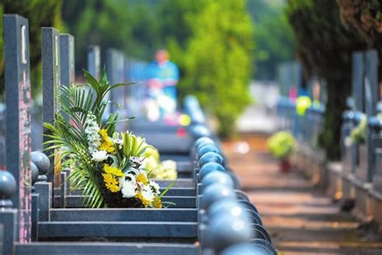 清明节农民进行哪些活动