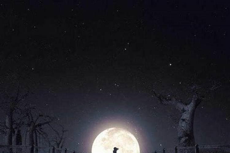 梦见死人活了什么预兆