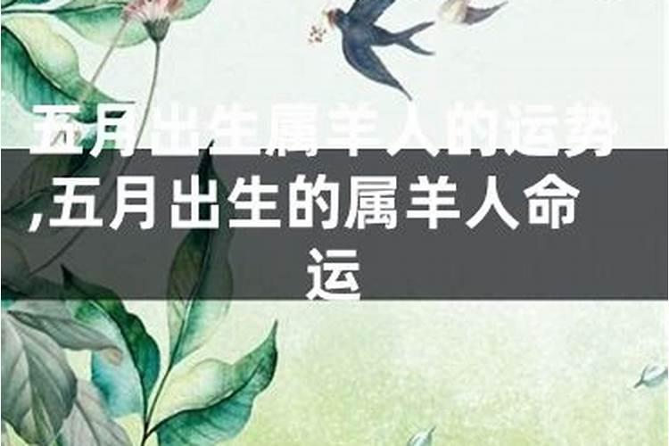 属相羊男农历5月12出生好嘛