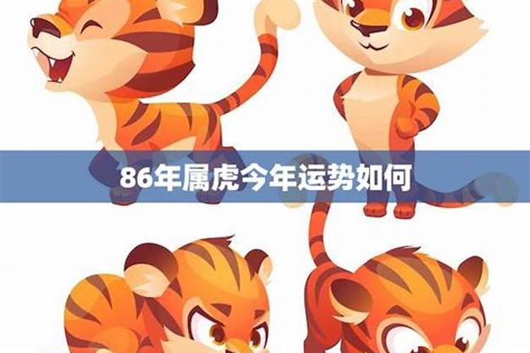 你生活中见到的迷信的人干过哪些事？