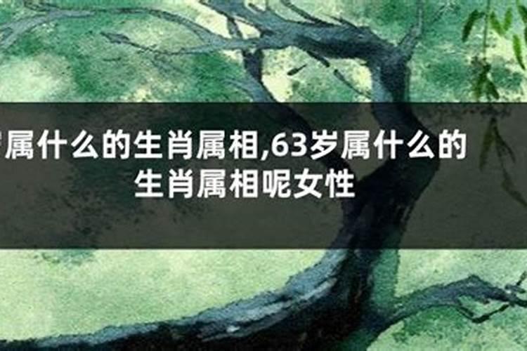 七夕相会是什么意思 七夕相会的意思