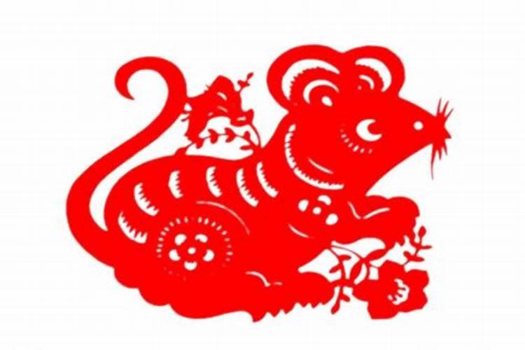 1971年的猪2025年运势如何？
