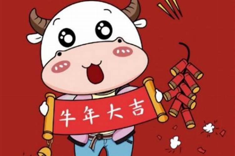 本命年说说心情句子