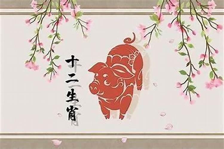 属猪腊月出生命运如何
