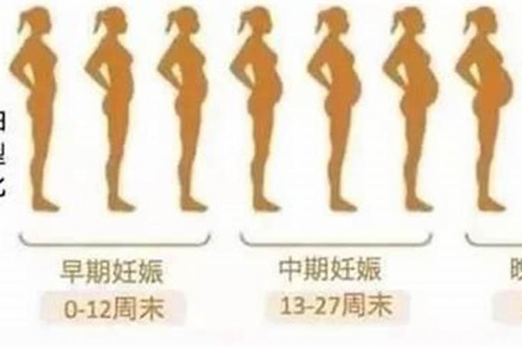 属马男人和属鸡女人相配吗