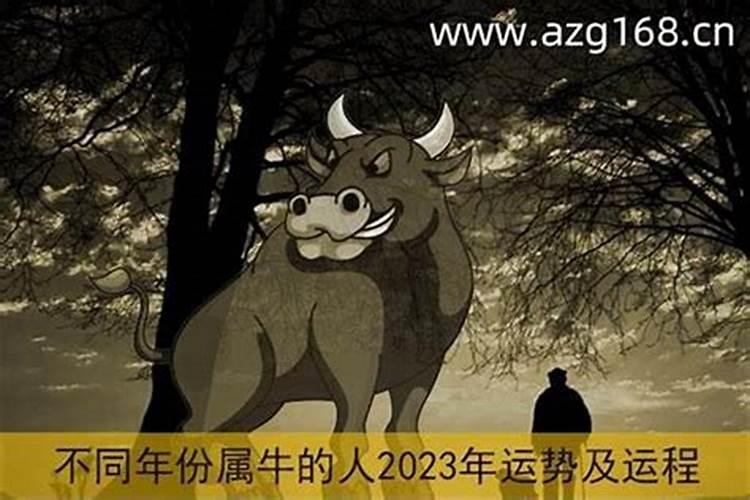 2025属蛇本命年财运怎么样