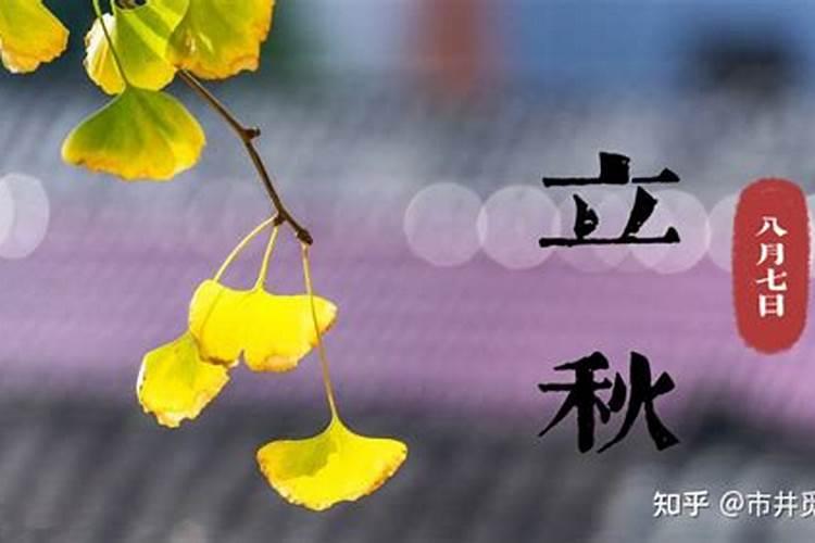 立秋的十大忌讳,立秋当天的讲究
