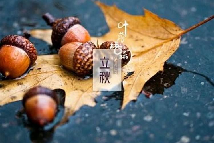 立秋什么讲究 立秋的讲究
