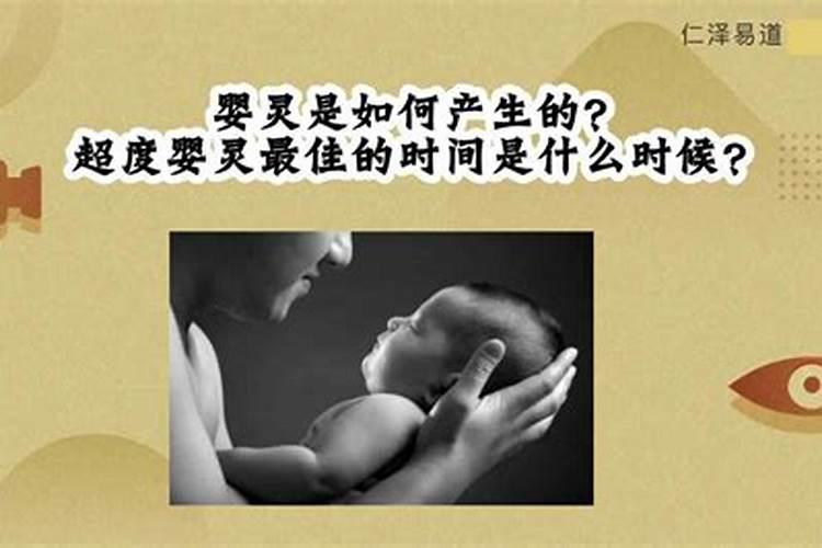 1968年猴2025年属猴人的全年运势