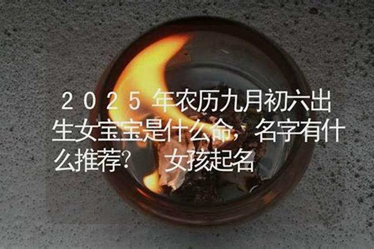 属马人2025年全年运势运程