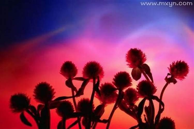 梦到奶奶死了,现实中她还活着