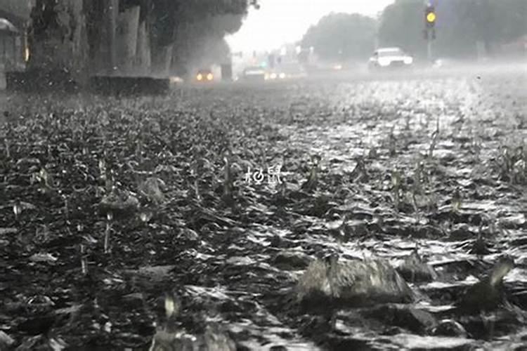 孕妇梦见下雨是什么意思