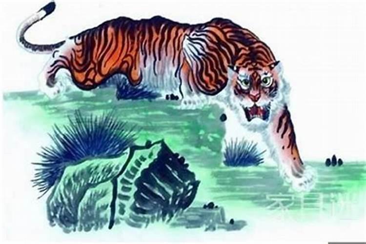 74年属虎48岁2022劫难1974属虎命晚年很苦