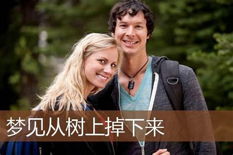 梦见人从树上掉下的预兆