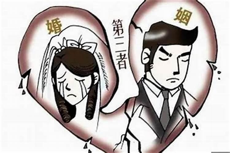 子午卯酉全的八字