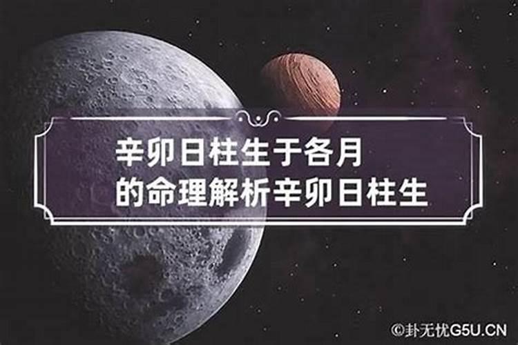 超级百亿富豪八字分析 日坐财库富贵？