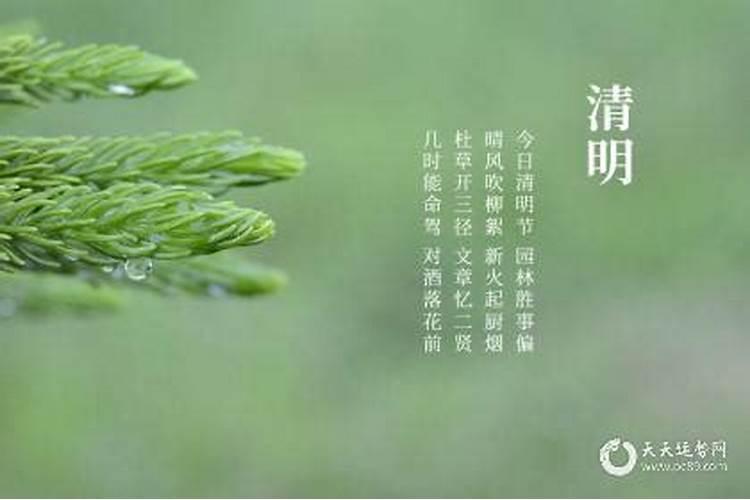 清明后面一个节气