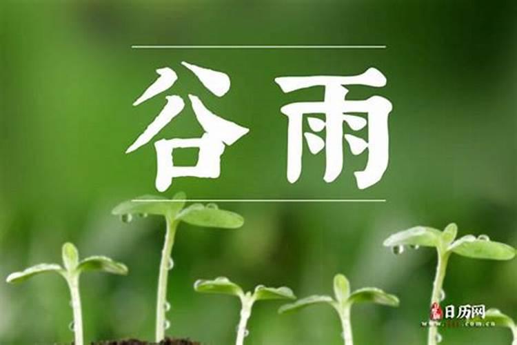 清明后面的一个节气是什么
