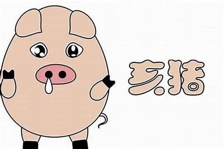 属猪的人2025年的运势及运程