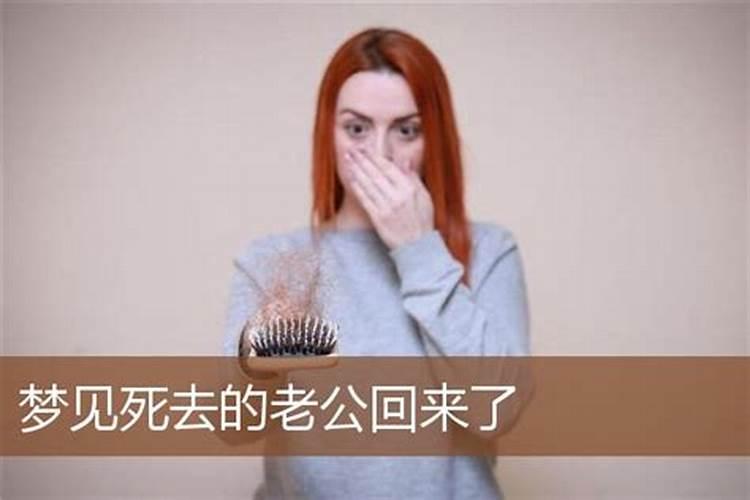 梦见去世的丈夫回来了还和我说话了