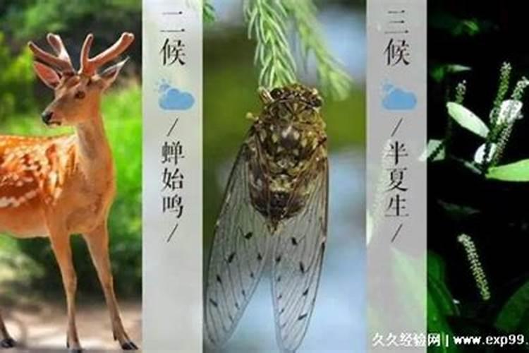 不是本命年可以戴红绳吗 本命年的讲究