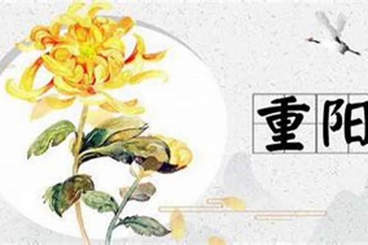 属龙与什么属相匹配？与什么属相相克？