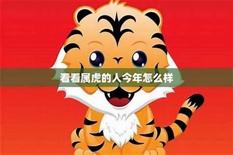 1986年属虎男在2025年每月运势及运程