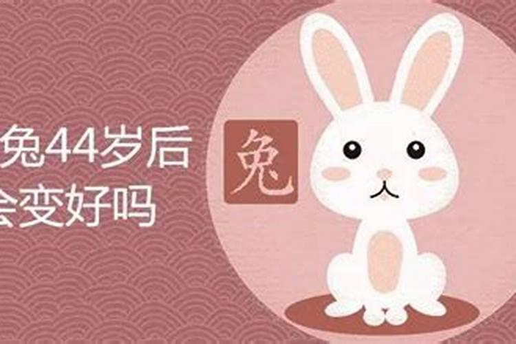 2025年5月26日属兔人运势