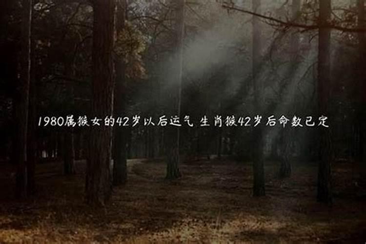 狗与猪合不合