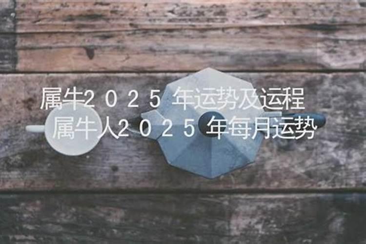属牛的人2025年运势及运程详解