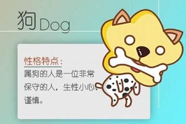 属鸡人命数中五行缺乏,如何弥补？