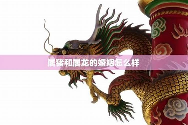 梦见前女友对我笑的预兆