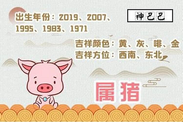 属相不合但是八字合 属相不合婚姻就不幸福吗