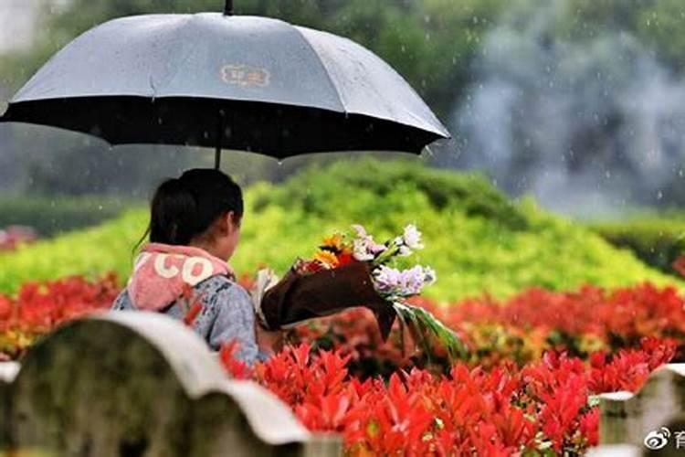 生肖狗2025年运势及运程如何