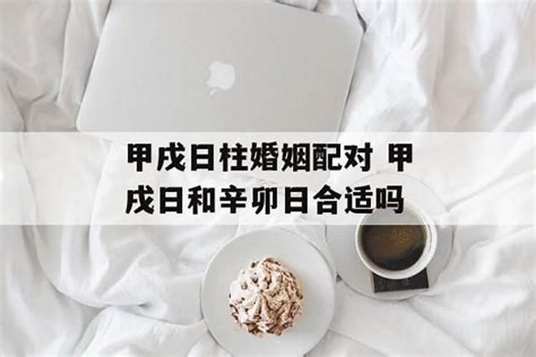 属兔人2025年运势及财运